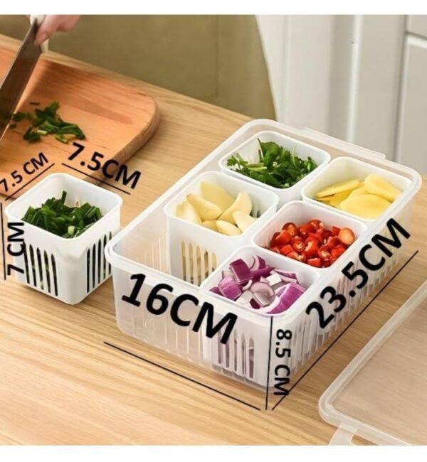 Plastic Rectangular 6 Grid Fridge Storage Box
